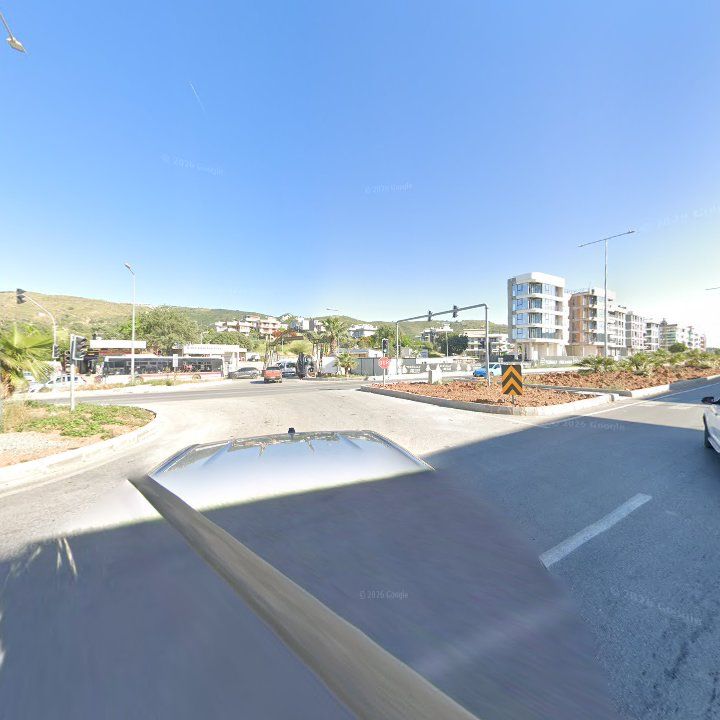 Fotoğraf 10