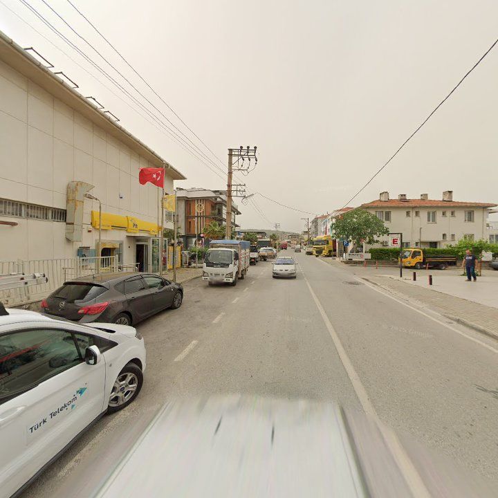 Fotoğraf 12