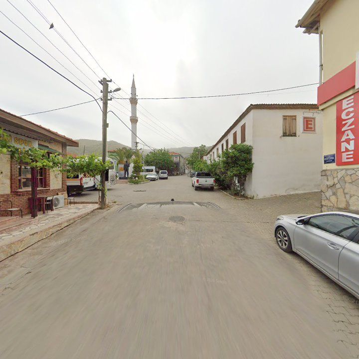 Fotoğraf 7