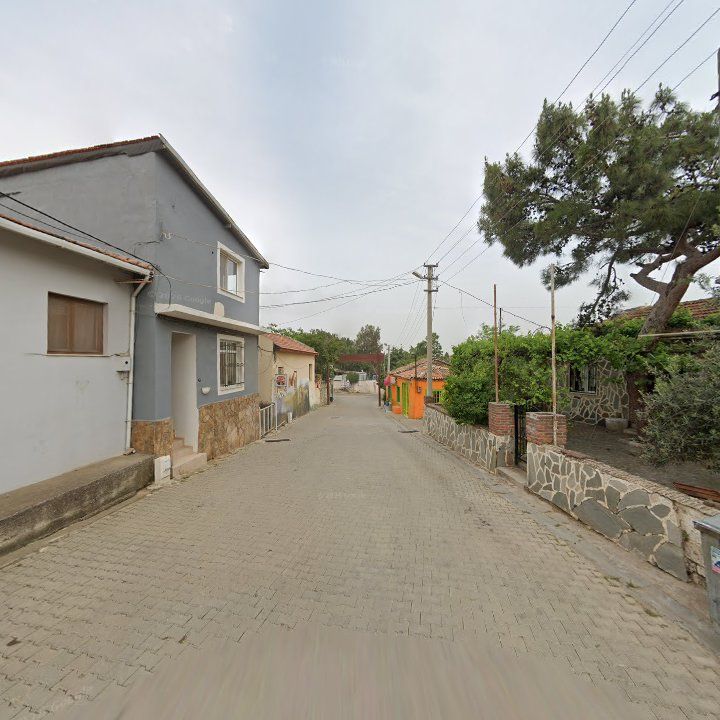 Fotoğraf 9