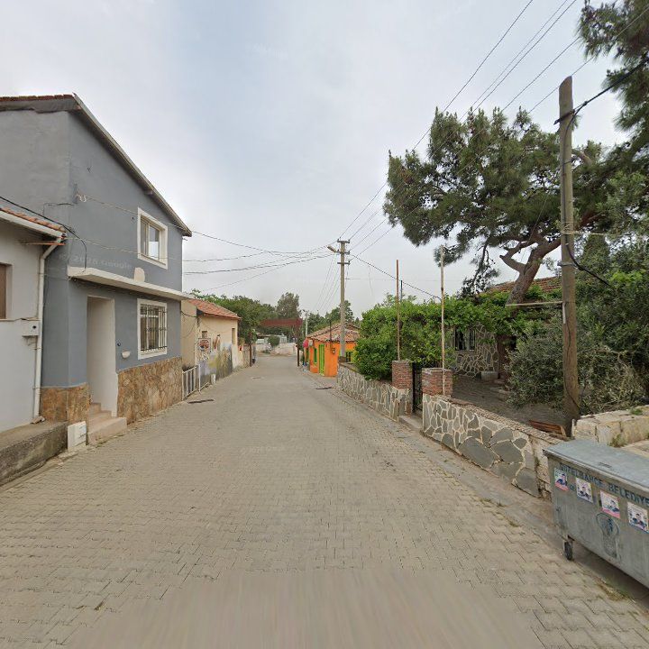Fotoğraf 7