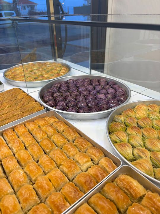 Fotoğraf 11