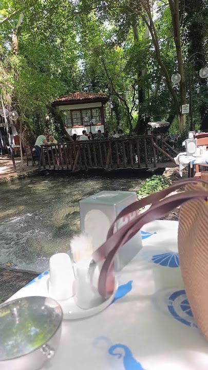Fotoğraf 15