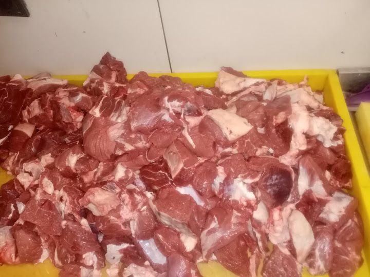 Fotoğraf 14