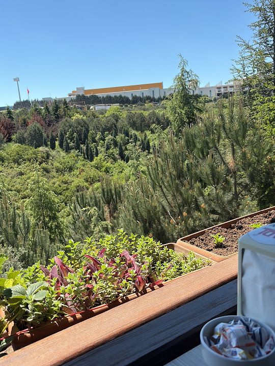 Fotoğraf 20