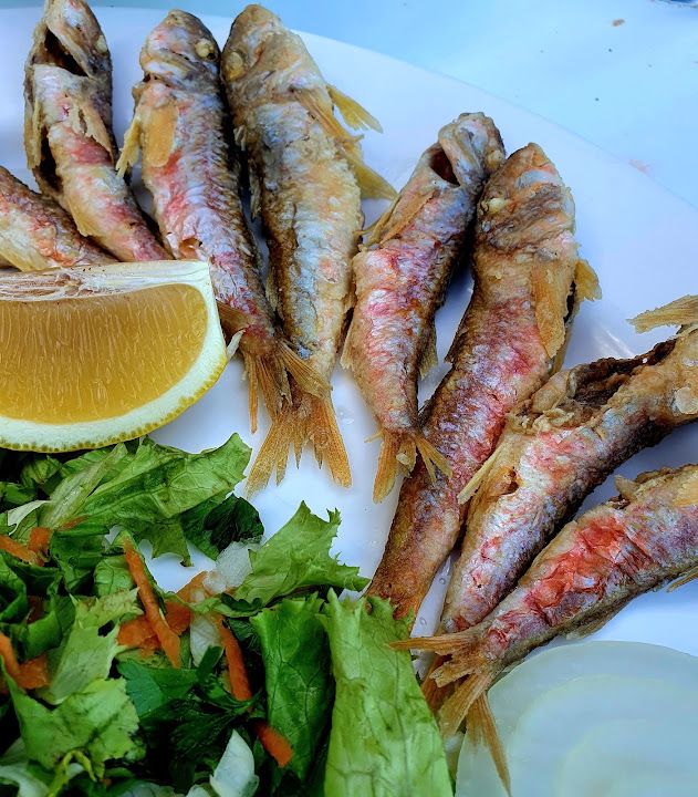Fotoğraf 37