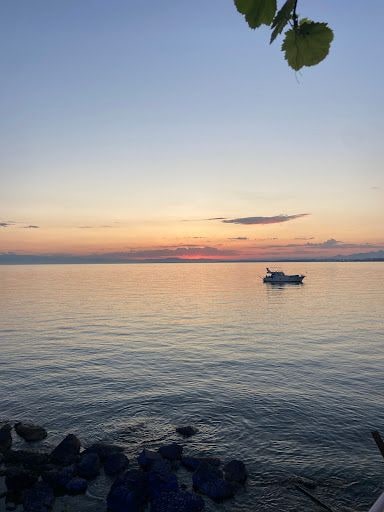 Yorum fotoğrafı 5