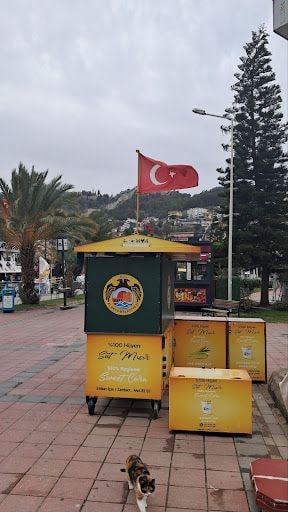 Yorum fotoğrafı 5