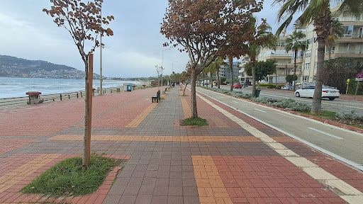 Yorum fotoğrafı 8