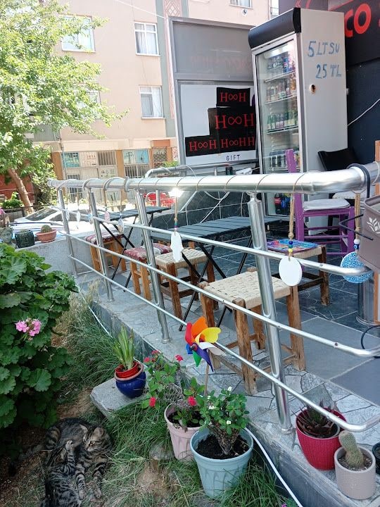 Fotoğraf 11