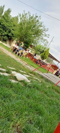 Fotoğraf 16