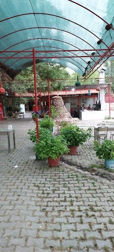 Fotoğraf 17