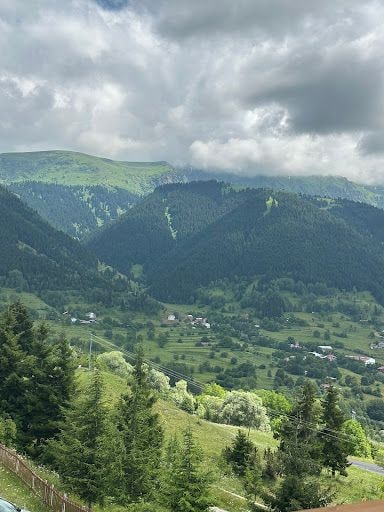 Fotoğraf 28