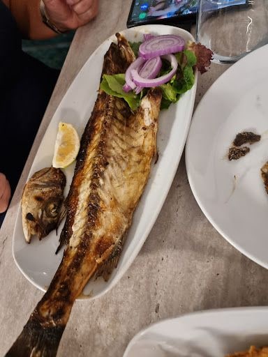 Fotoğraf 22
