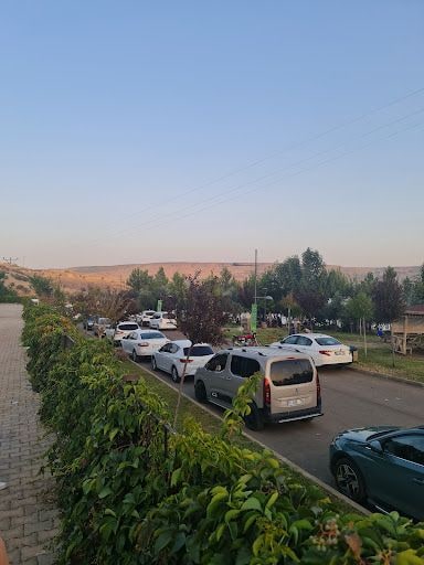 Yorum fotoğrafı 9