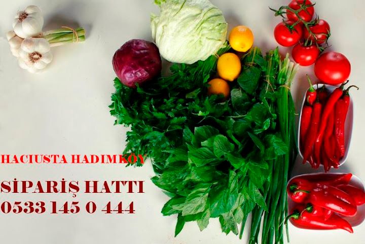 Fotoğraf 15