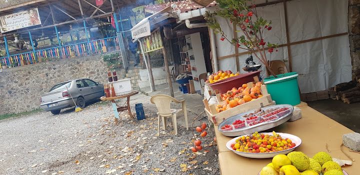 Fotoğraf 20