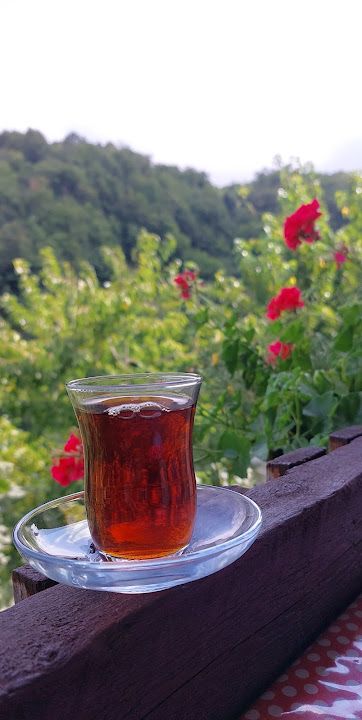 Fotoğraf 15