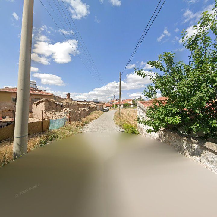 Fotoğraf 10
