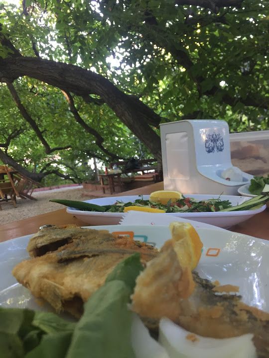 Fotoğraf 2