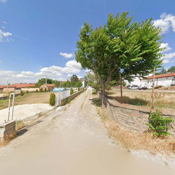 Fotoğraf 7