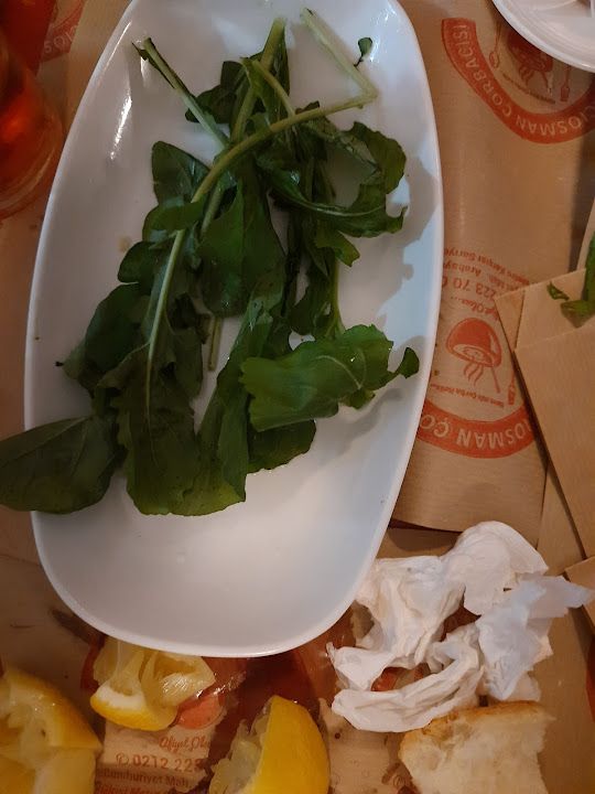 Fotoğraf 37