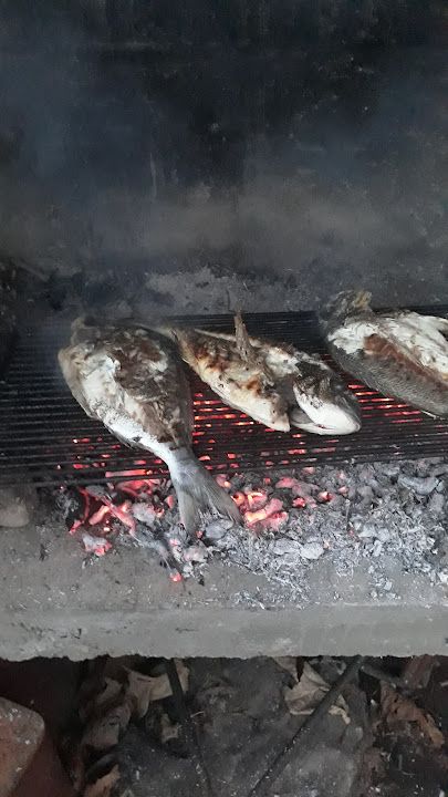 Fotoğraf 14