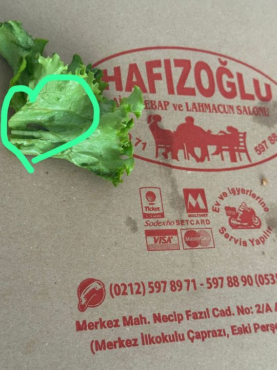 Fotoğraf 16