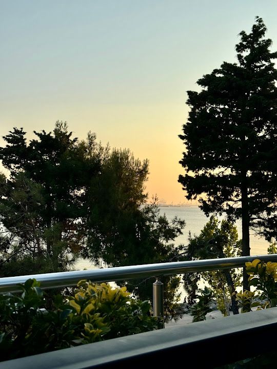 Fotoğraf 57