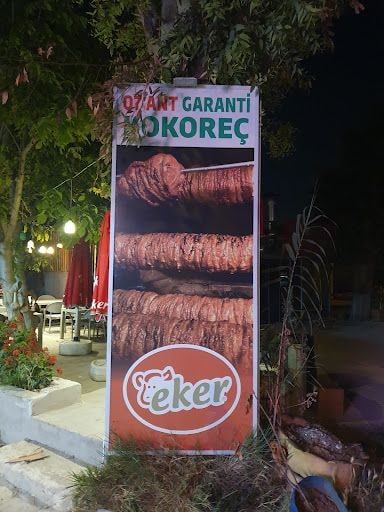 Fotoğraf 30