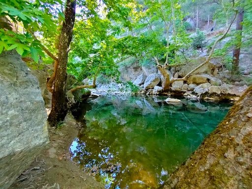 Yorum fotoğrafı 10