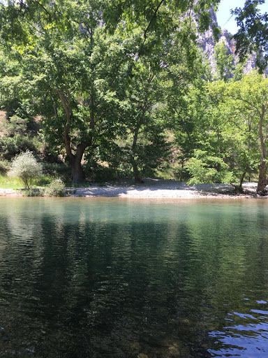 Yorum fotoğrafı 5