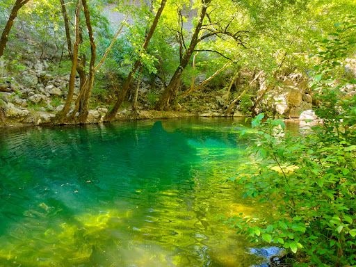 Yorum fotoğrafı 7