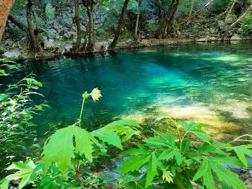 Yorum fotoğrafı 8
