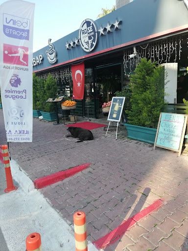 Fotoğraf 12