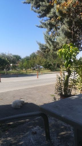 Yorum fotoğrafı 6