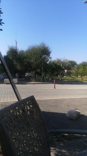 Yorum fotoğrafı 7
