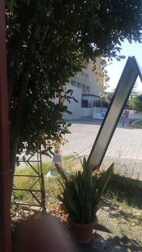 Yorum fotoğrafı 8