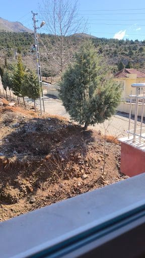 Fotoğraf 13