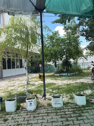 Fotoğraf 19