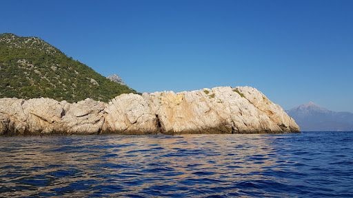 Fotoğraf 16