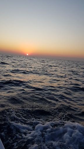 Fotoğraf 17