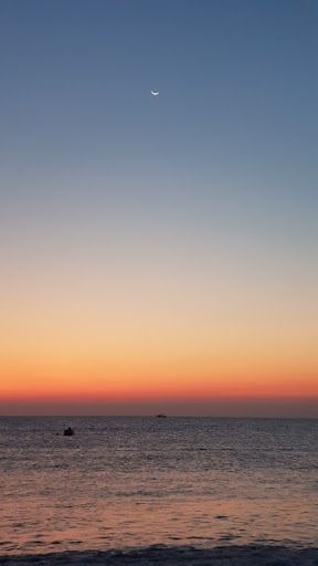 Fotoğraf 19