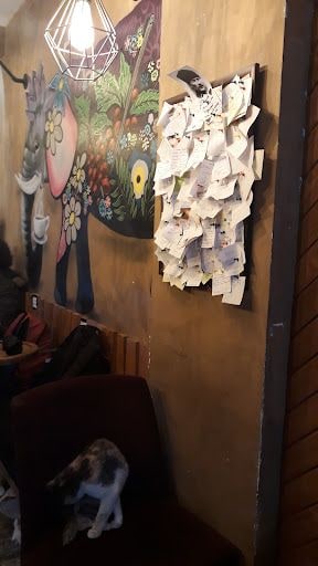 Yorum fotoğrafı 3