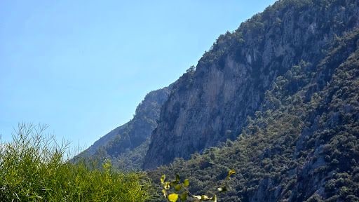 Yorum fotoğrafı 7