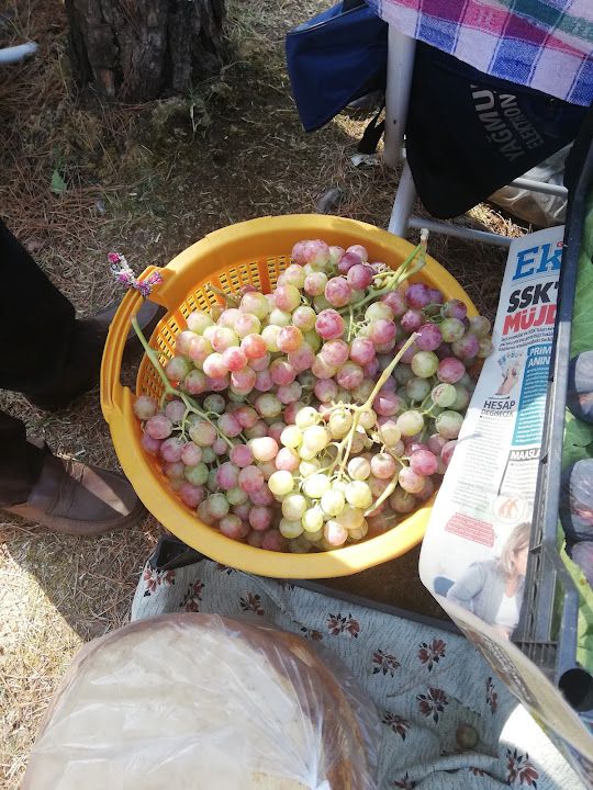 Fotoğraf 28
