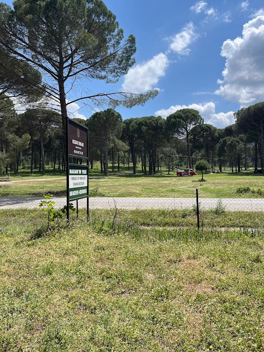 Fotoğraf 24