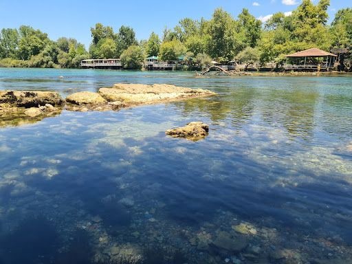Fotoğraf 12