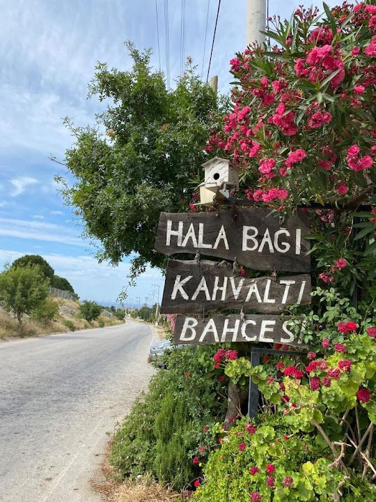 Fotoğraf 35
