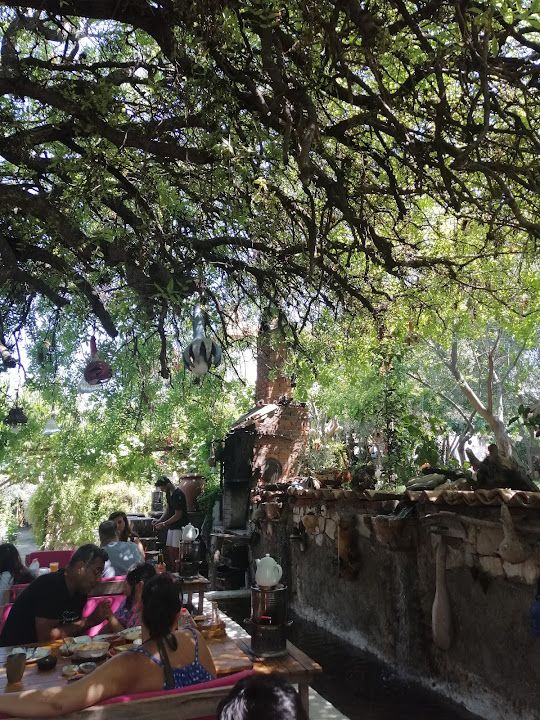 Yorum fotoğrafı 2